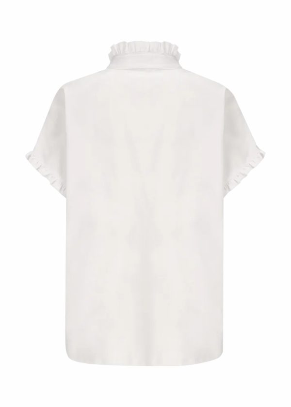 Theindigoinquiry.shop05b471e65c 2