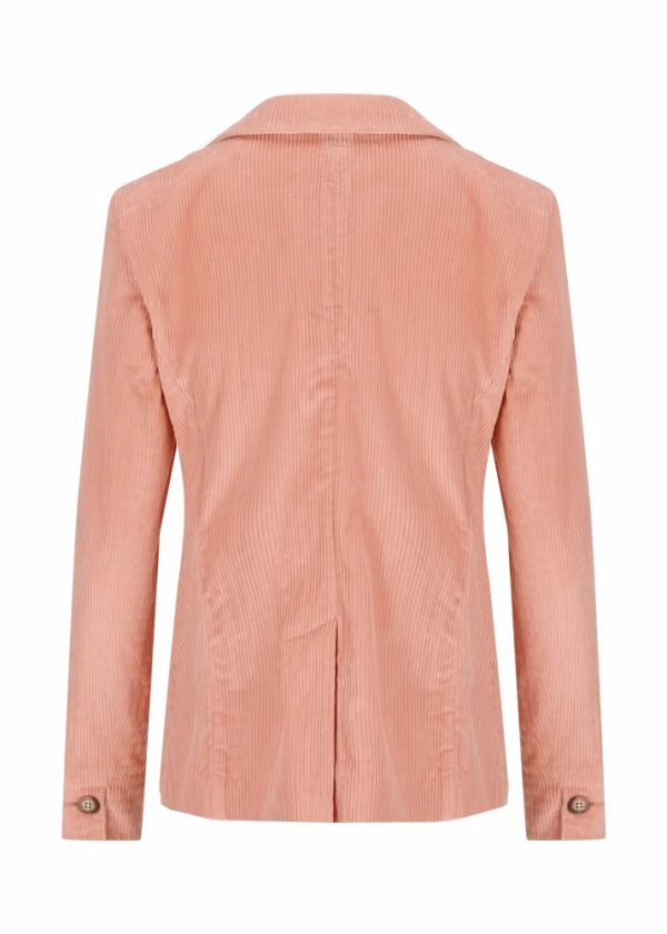 Theindigoinquiry.shop306b3c04a0 3