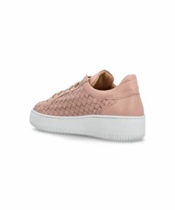 Theindigoinquiry.shop5005da9596 3