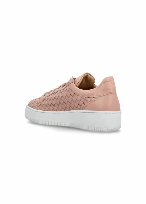 Theindigoinquiry.shop5005da9596 3