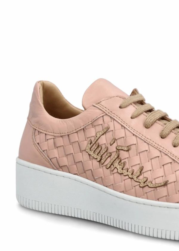 Theindigoinquiry.shop5005da9596 5