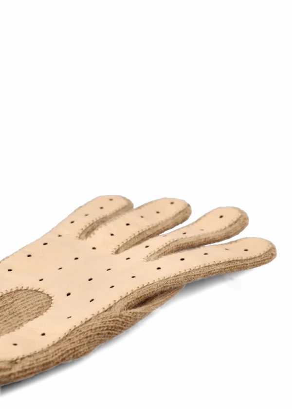 Theindigoinquiry.shop5d68ae4d95 2