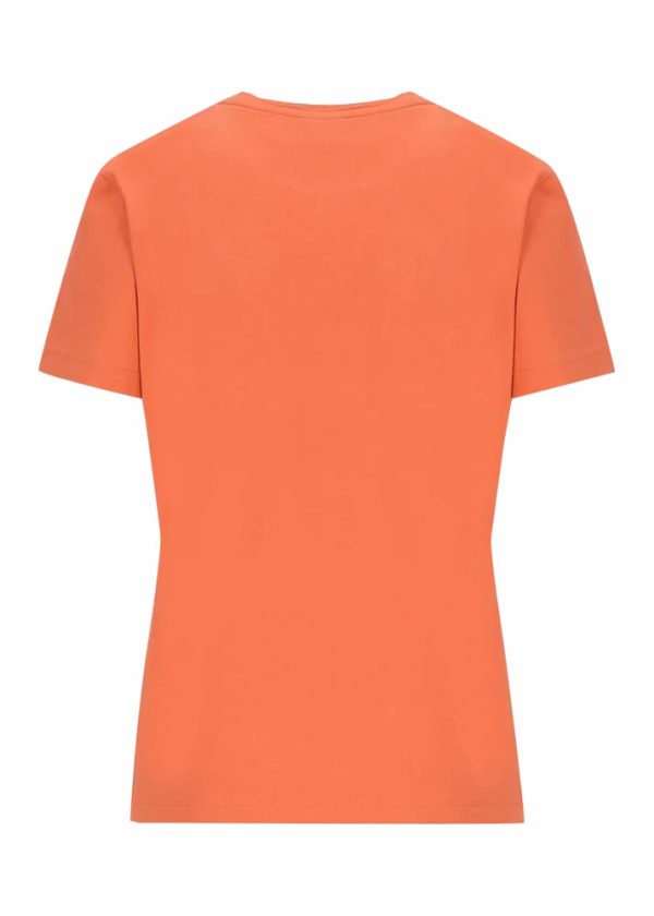 Theindigoinquiry.shop5d8187069b 2