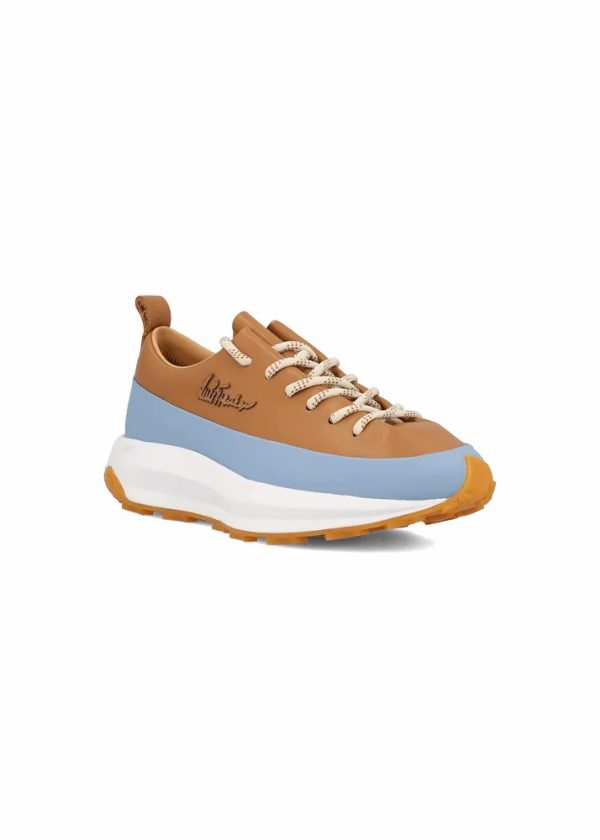 Theindigoinquiry.shop9939b3e8f6 4