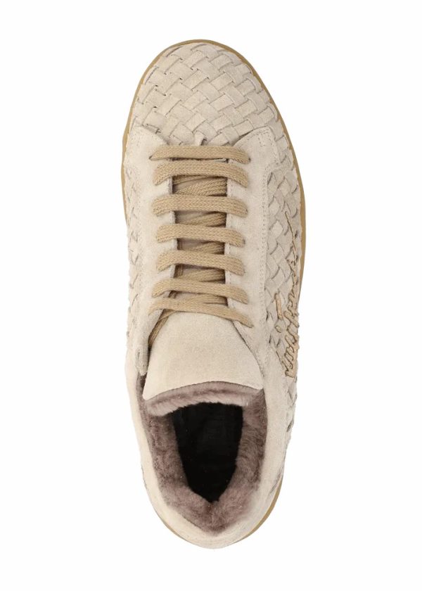 Theindigoinquiry.shop9f1939fc80 5