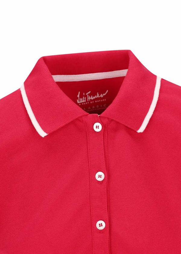 Theindigoinquiry.shopc894fdb731 3