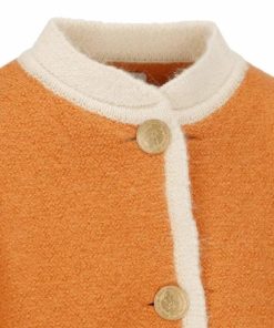 Theindigoinquiry.shopcbf2b8e9d7 5